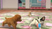 Picture of 3DS Nintendogs + Cats