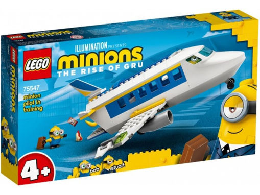 Picture of Minion Pilot in Training