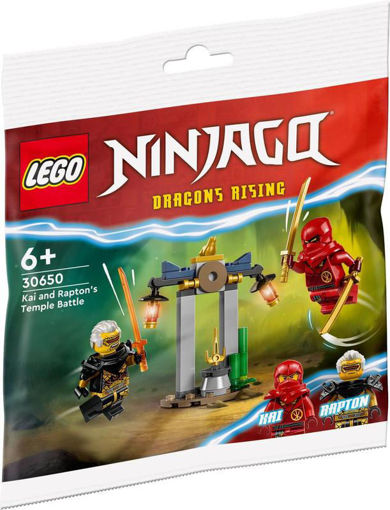 Lego , Ninjago , Dragon Rising , 30650